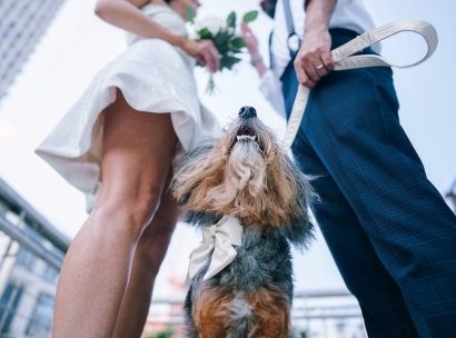 Luxury Weddings in Los Angeles: Glamour, Estates, and Iconic City Backdrops image home page block