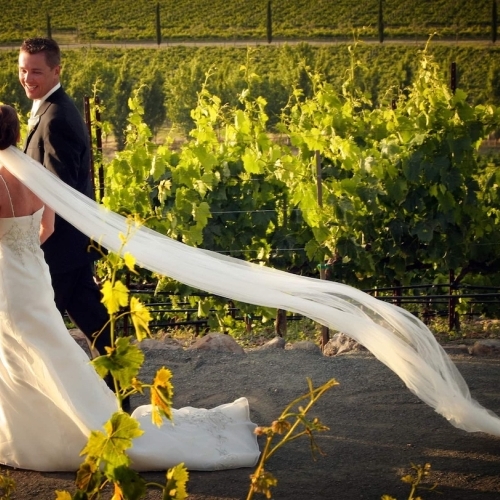 Wine Country Romance in Sonoma and Napa image service page blog