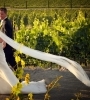 Wine Country Romance in Sonoma and Napa photo sidebar